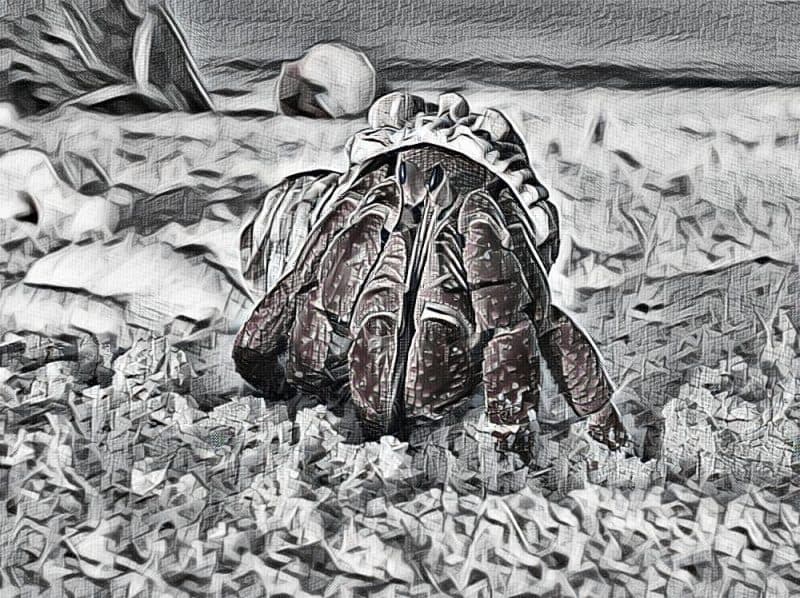 เครื่องมือถอดรหัส GandCrab Ransomware